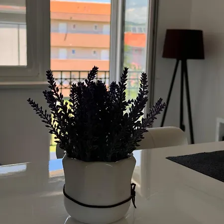 App Hami Apartment *