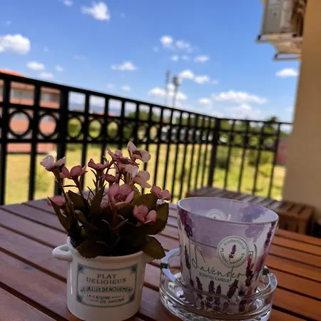 App Hami * Veliko Gradište